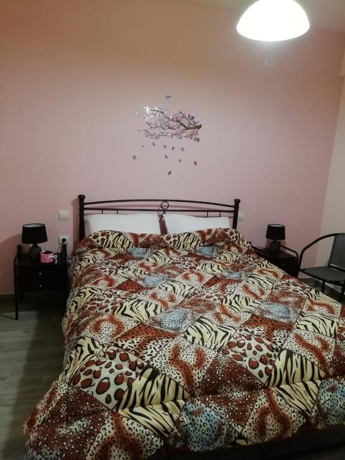Katelia'S Apartments Αλμυροπόταμος Εξωτερικό φωτογραφία